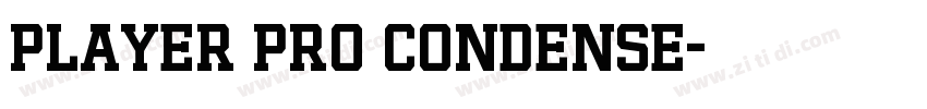 Player Pro Condense字体转换